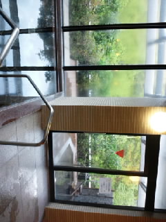 b0204566_14514849.jpg