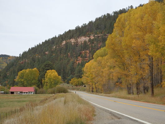 c0115366_12403583.jpg