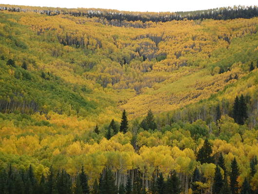 c0115366_12423033.jpg