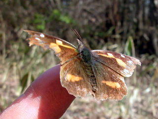 b0088772_2113853.jpg