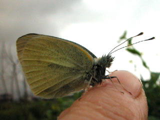 b0088772_2114095.jpg