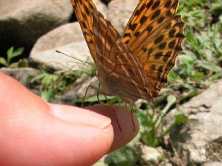 b0088772_21145158.jpg