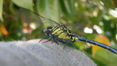 b0088772_21481487.jpg