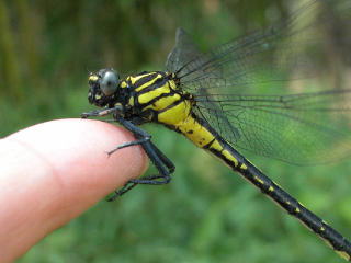 b0088772_21482260.jpg