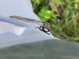 b0088772_21494652.jpg