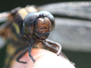 b0088772_21542380.jpg