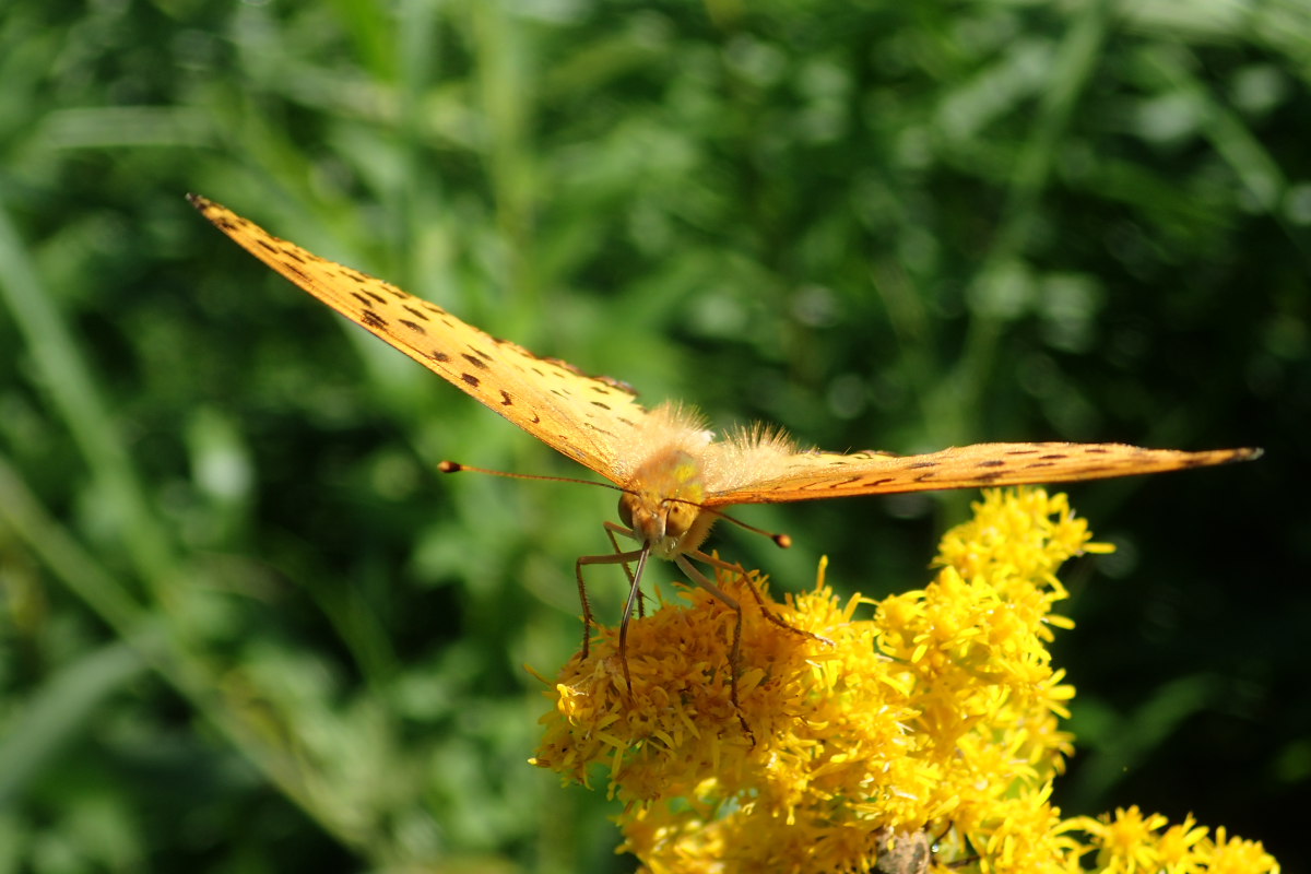a0083081_20121830.jpg