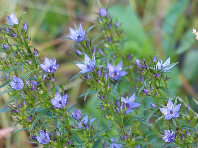 f0357487_22771.jpg