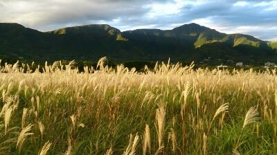 d0156797_15161938.jpg