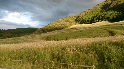 d0156797_15171399.jpg