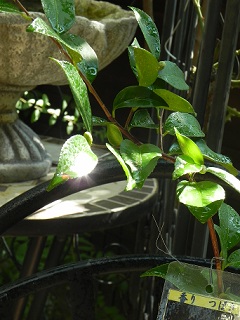 c0152002_18133509.jpg