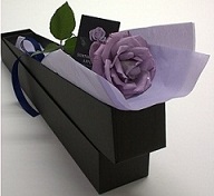 b0159210_1659980.jpg