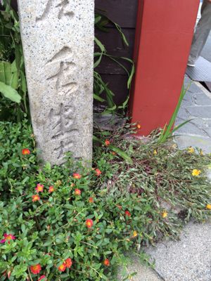 f0143521_150988.jpg
