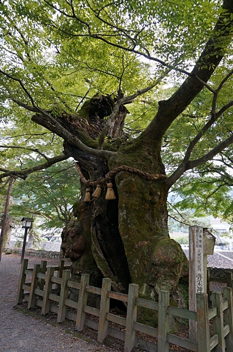 b0068423_175864.jpg