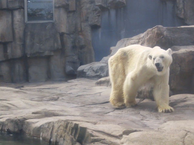 f0344626_01173839.jpg