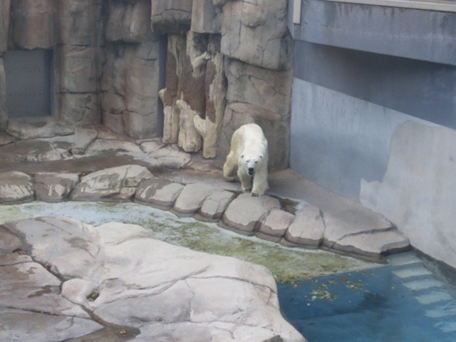 f0344626_01184483.jpg