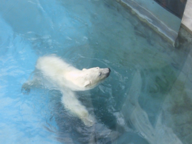 f0344626_01185117.jpg