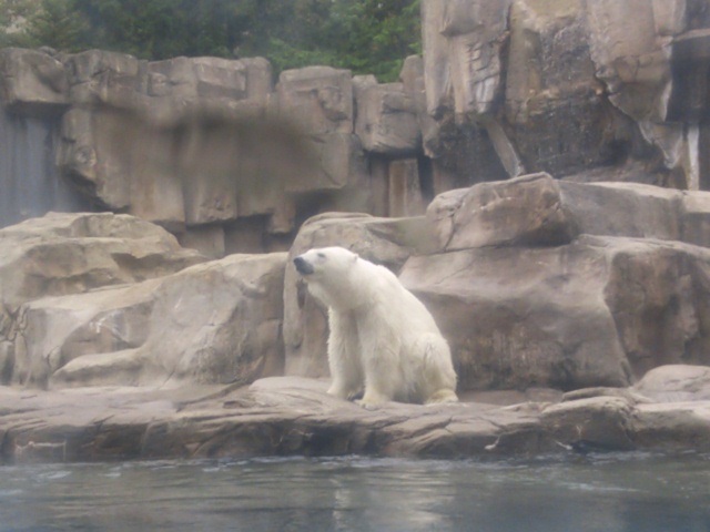 f0344626_01190623.jpg