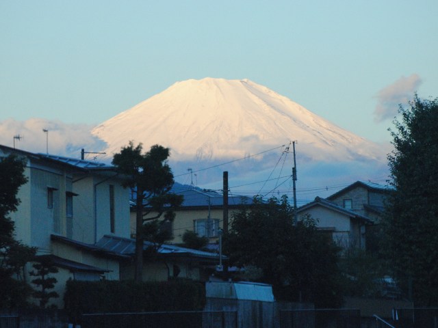 b0000829_1247411.jpg