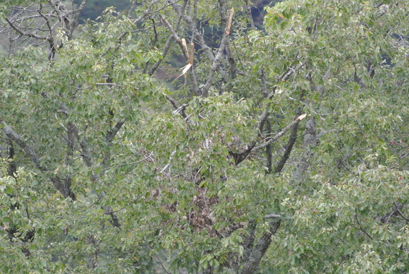 f0118332_22212939.jpg