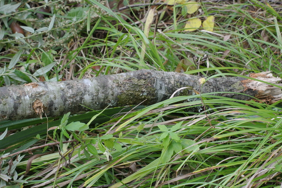 f0118332_22223914.jpg