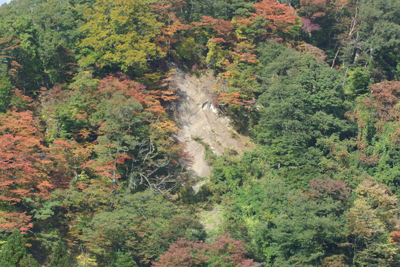 f0118332_22235315.jpg