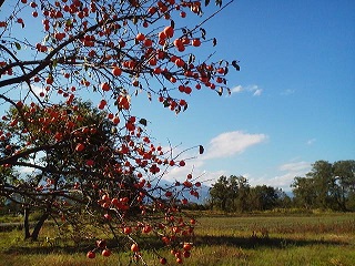 a0272241_23521116.jpg