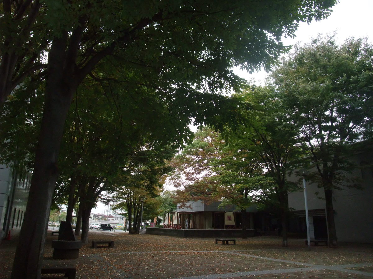 a0303241_113107.jpg