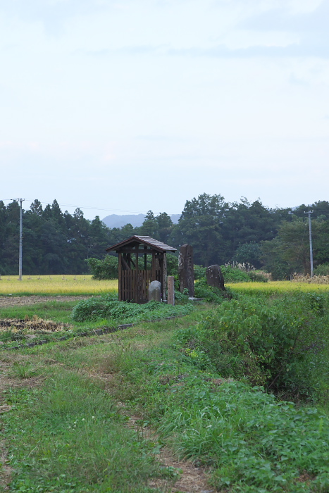 c0180845_222255.jpg
