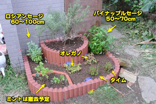 c0063348_2134274.jpg