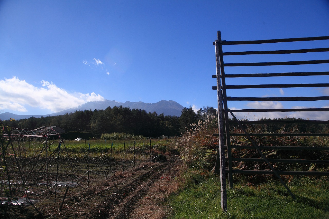 d0177549_19114330.jpg