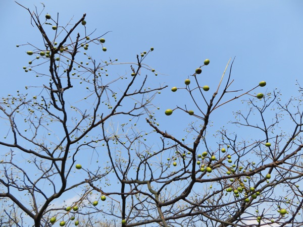 b0243152_17385710.jpg