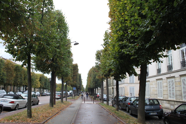f0043559_16302579.jpg