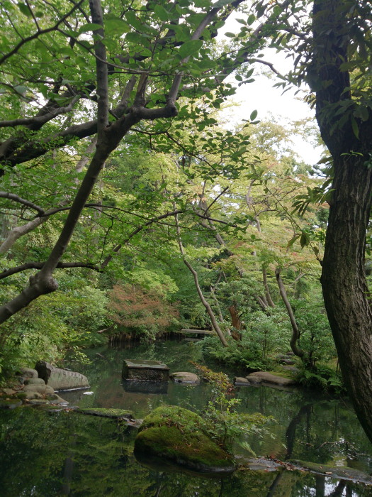 a0073065_12255631.jpg