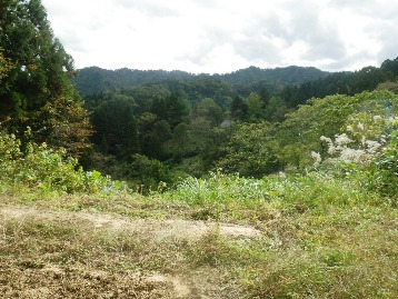 b0079965_5262984.jpg