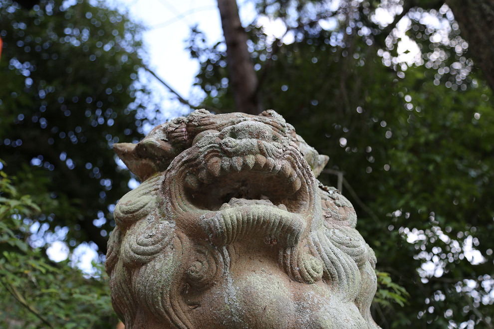 b0319266_19571273.jpg