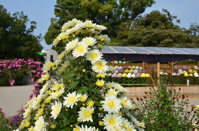 a0185880_17413067.jpg