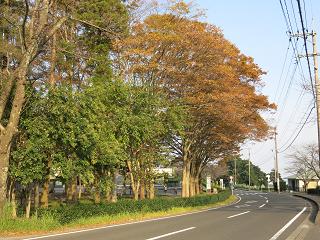 e0130185_18405415.jpg