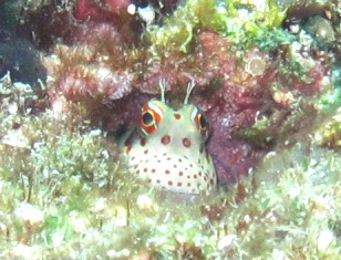 c0018489_19311411.jpg