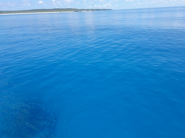 c0018489_19411739.jpg