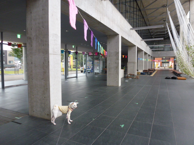 d0293002_22261137.jpg