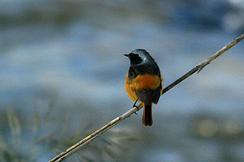 b0014607_21435244.jpg