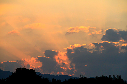 b0014607_21442168.jpg