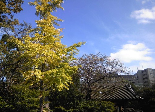 b0285619_919616.jpg