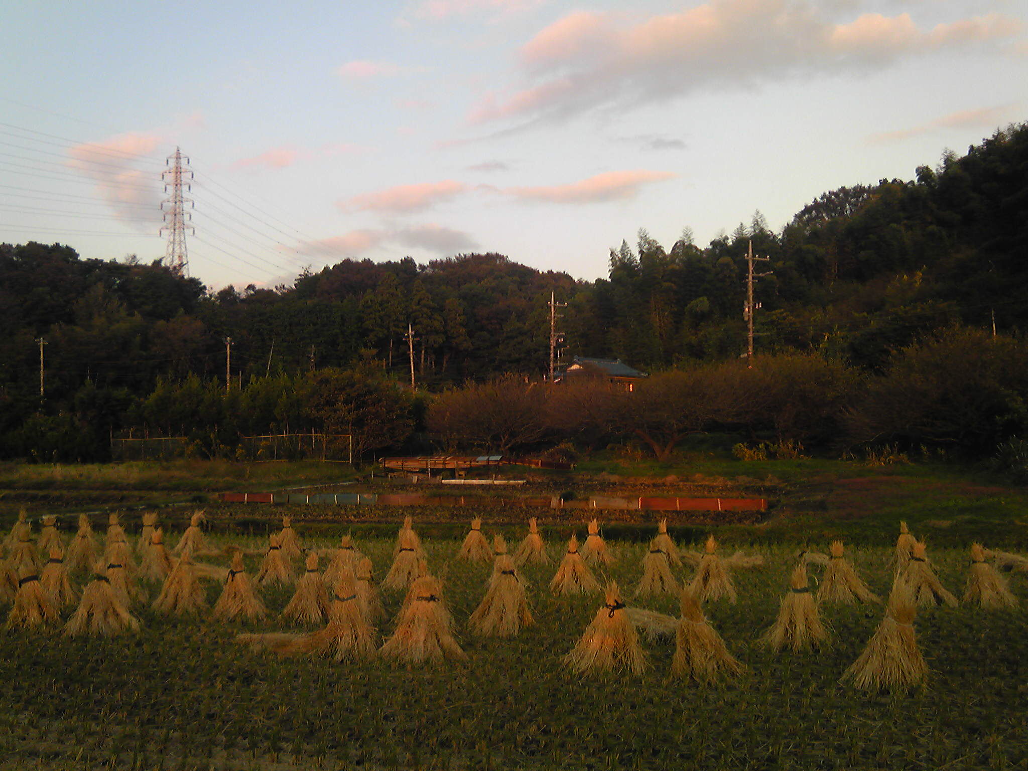 b0285619_9222184.jpg