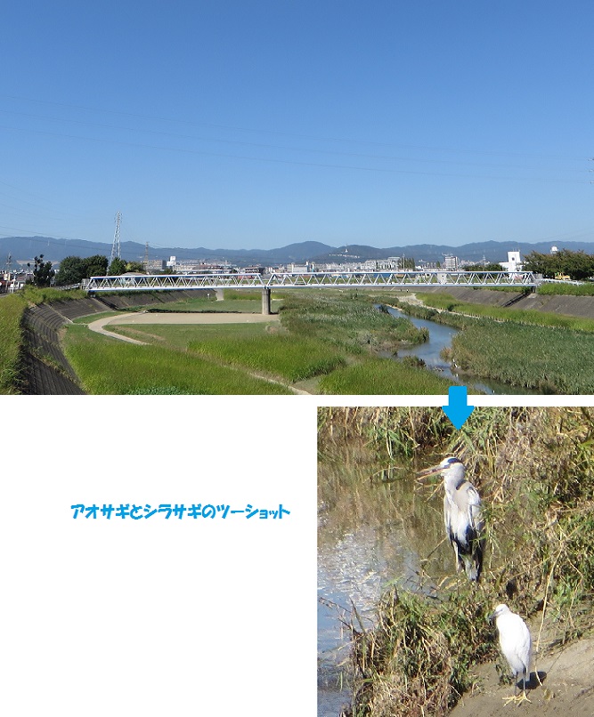c0280322_13585920.jpg