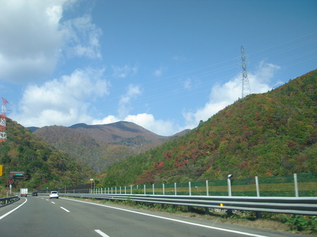d0250123_225537.jpg