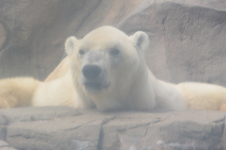 f0344626_01305780.jpg