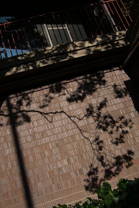 b0134829_2341157.jpg