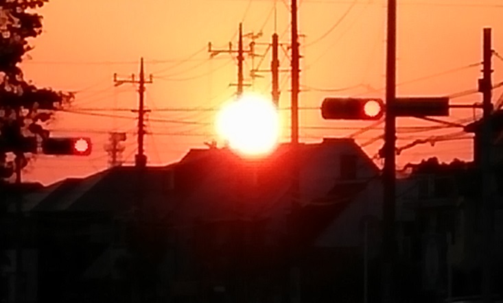 f0002833_2042862.jpg